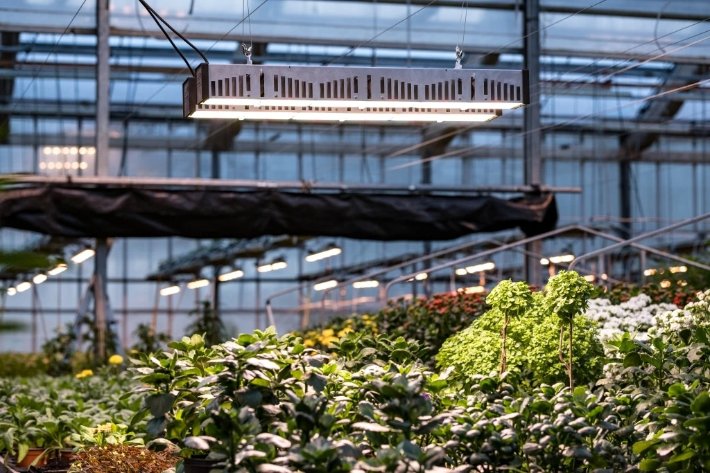 AA4060 - SANLIGHT - EVO 8C COMPACT 200-440V | 1250W | FÜR GEWÄCHSHAUSANBAU