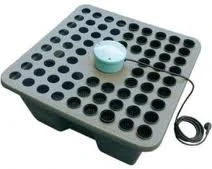 GRAF - REGENWALD 72 TÖPFE 12V GHE