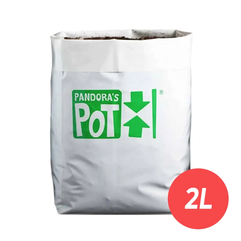 PP2L1 - PANDORA'S POT - LIGHT PLASTIC POT 1pcs | 10x12x30h cm - 2L