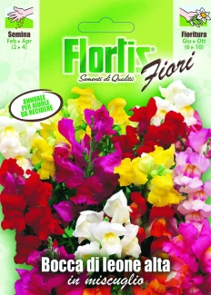 4351030 - FLORTIS | BOCCA DI LEONE MIX