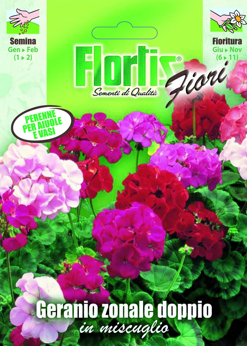4351075 - FLORTIS | GERANIO ZONALE DOPPIO MIX