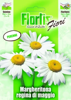 4351115 - FLORTIS | MARGHERITONA REGINA DI MAGGIO