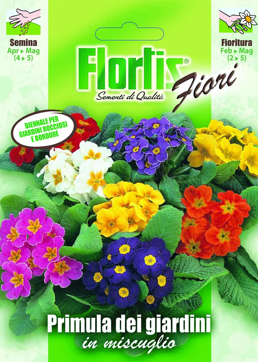 4351166 - FLORTIS | PRIMULA DEI GIARDINI MIX