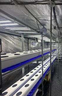 VF443508 - INDOORLINE - VERTICAL FARM 60 BASIC | 330x60x200h cm