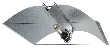 LA55V - AZERWING LA55V MEDIUM VEGA GREEN REFLECTION CRX 95%