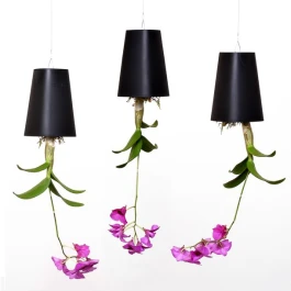 SKYPMBL - SKYPLANTER MEDIUM BLACK BOSKKE