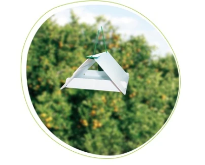 71828002PB - UNIVERSAL TRAP FOR HOSTING PHEROMONES