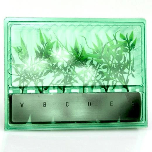 PM3304006CP - BLISTER FOR TRANSPORT AND SHIPPING 6 TALEE 3,6x3,6x4,5CM H12CM STEM HOLE 2CM