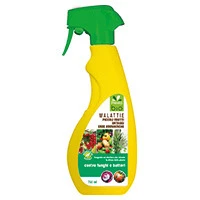 71820805 - FUNGAL DISEASE TREATMENT FOR SMALL FRUITS AND VEGETABLES 750ML WITH SPRAYER
