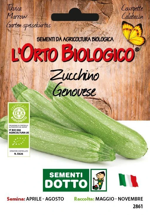 11112861 - ZUCCHINO GENOVESE ORTO BIOLOGICO DOTTO SEMENTI