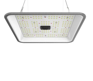 ORTOLED-90-FC-60W - ORTOLED - FULL CYCLE 2,7 umol/J | 60W SAMSUNG