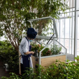 EXPOMNH - AGRICOOLTUR - MINIHORTUS | MÓDULO DE CULTIVO Y EXPOSICIÓN