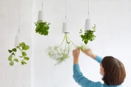 SKYPL - SKYPLANTER GRANDE BLANCO BOSKKE