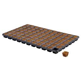 EAZY77 - HGA GARDEN - EAZY PLUG TRAY 77pcs | 3,5x3,5x3h cm