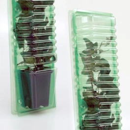 P13378 - BLISTER PARA TRANSPORTE Y ENVIO DE ESQUEJES 1 MACETA 7X7X8CM H 33CM AGUJERO TALLO 4CM