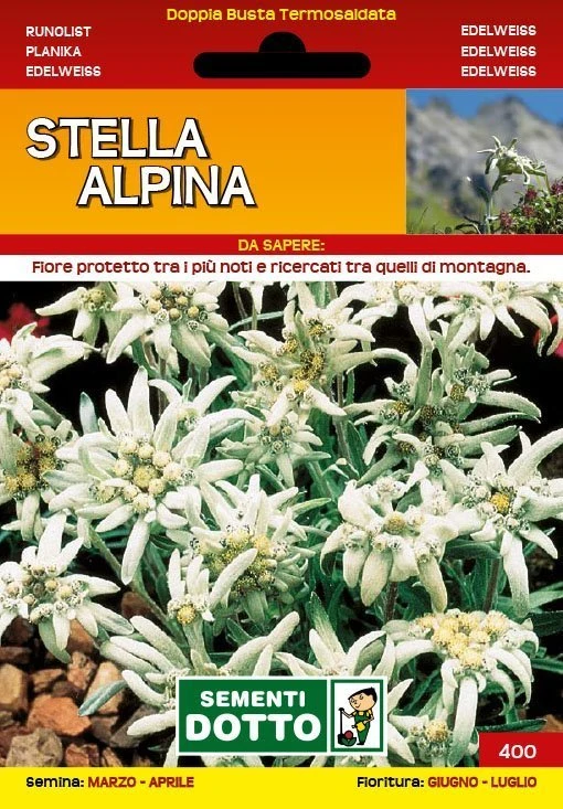 10100400 - STELLA ALPINA  SEMENTI DOTTO