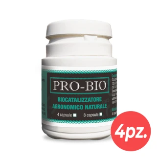 BMPRO4 - BIOMAGNO - PRO-BIO BIOCATALIZADOR PROBIÓTICO NATURAL | 4 CÁPSULAS