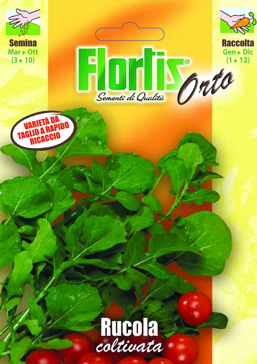 4355335 - FLORTIS | RUCOLA COLTIVATA
