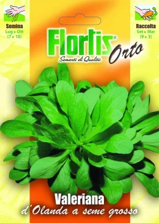 4355365 - FLORTIS | VALERIANA D'OLANDA