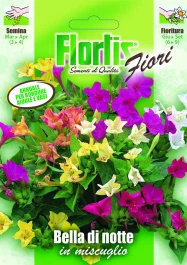 4351021 - FLORTIS | BELLA DI NOTTE MIX