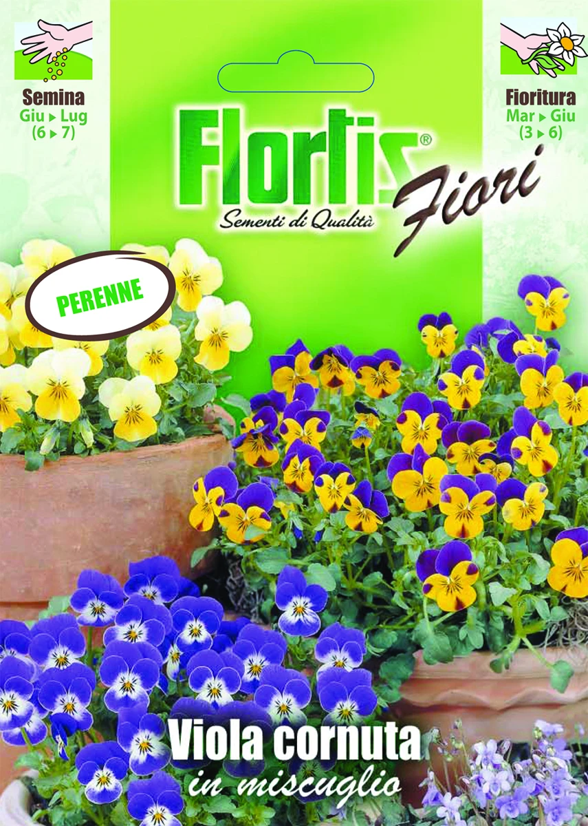4351197 - FLORTIS | VIOLA CORNUTA MIX