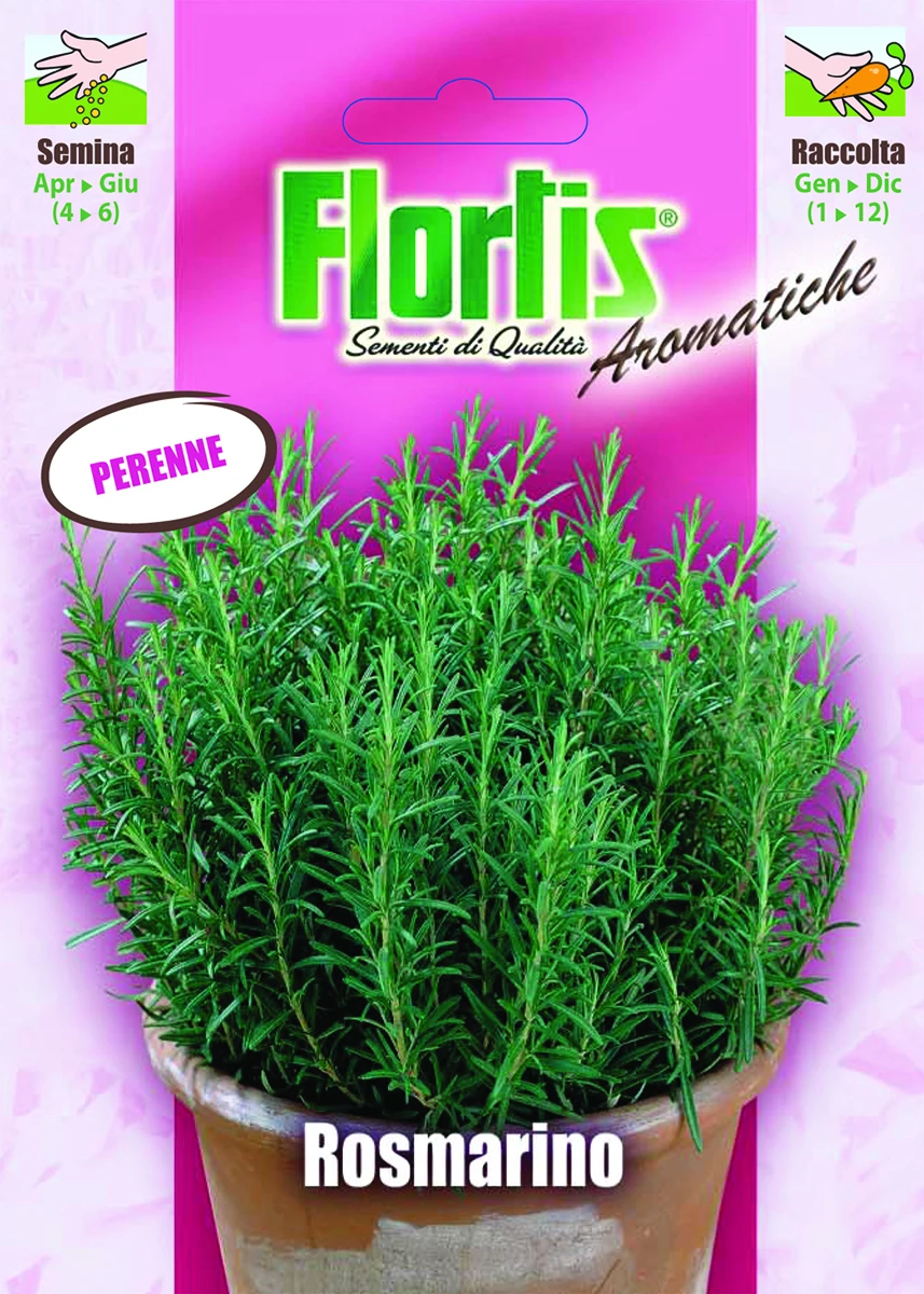 4357035 - FLORTIS | ROSMARINO