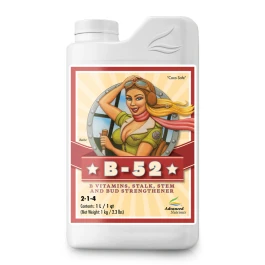 2100-14 - ADVANCED NUTRIENTS - B-52 | 1L