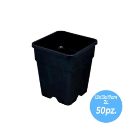60030BOX - BOX SQUARE POTS | 13x13x17h cm - 2L - 50pcs.