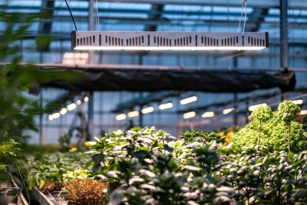 AA4030 - SANLIGHT - EVO 4C COMPACT 200-440V | 625W | POUR SERRE