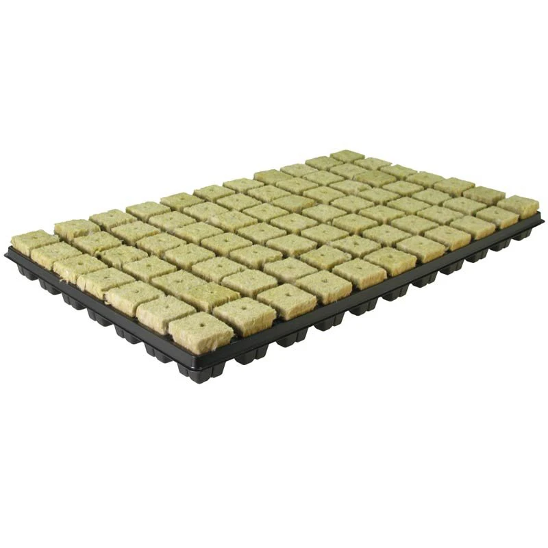 GRSBB - GRODAN - BOITE 18 PLATEAUX PLASTIQUE SBS AVEC 77 CUBES DE LAINE DE ROCHE (1386pcs) | 53x31 cm