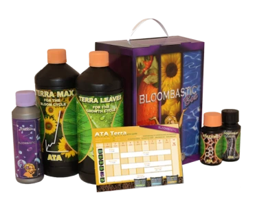 ATSK - ATA TERRA BLOOMBASTIC BOX ATAMI B'CUZZ