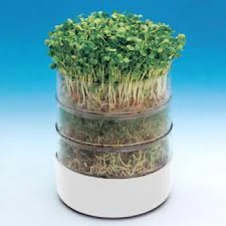 BIOS - GERMINATEUR DE GRAINES BIOSET