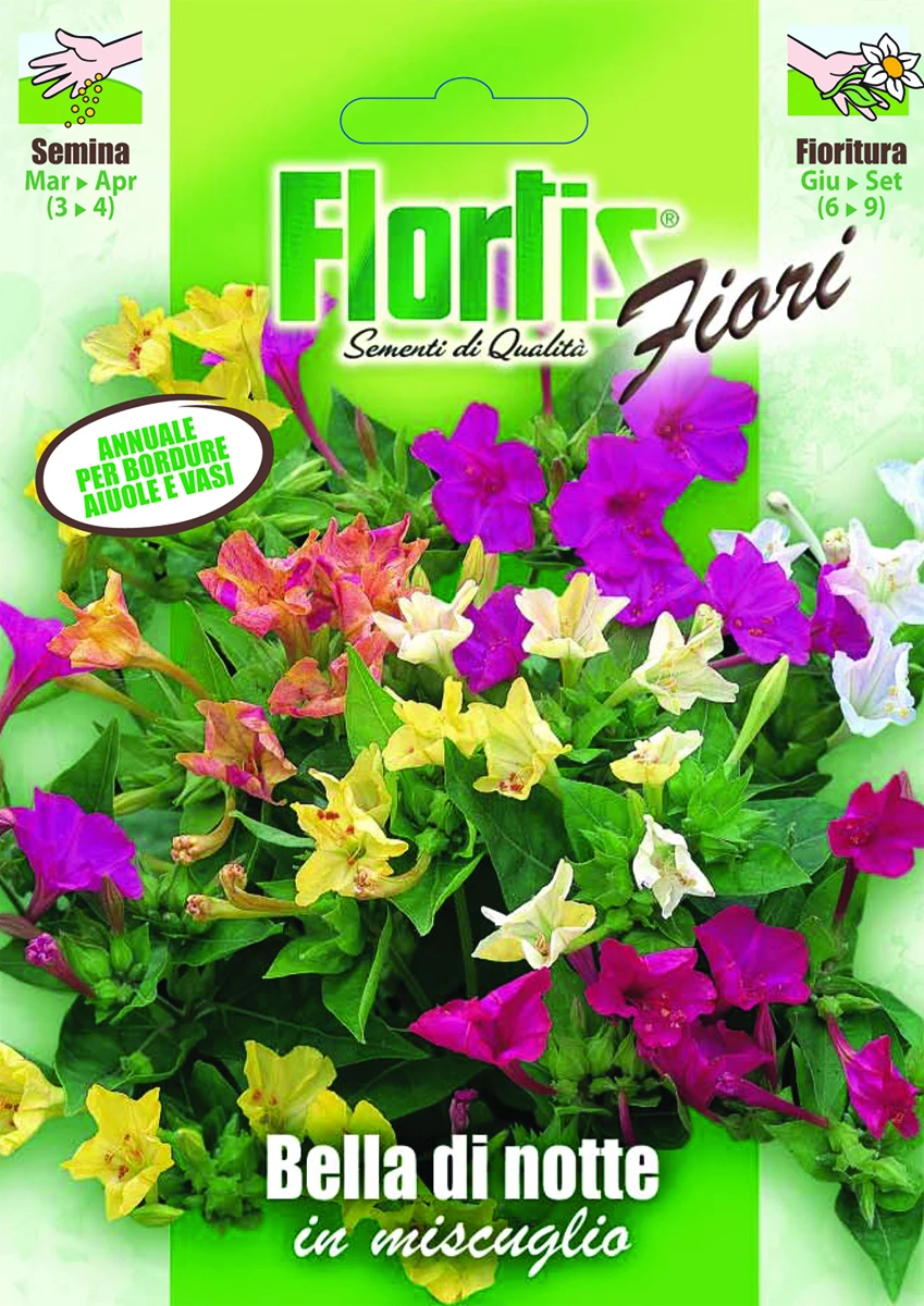 4351021 - FLORTIS | BELLA DI NOTTE MIX