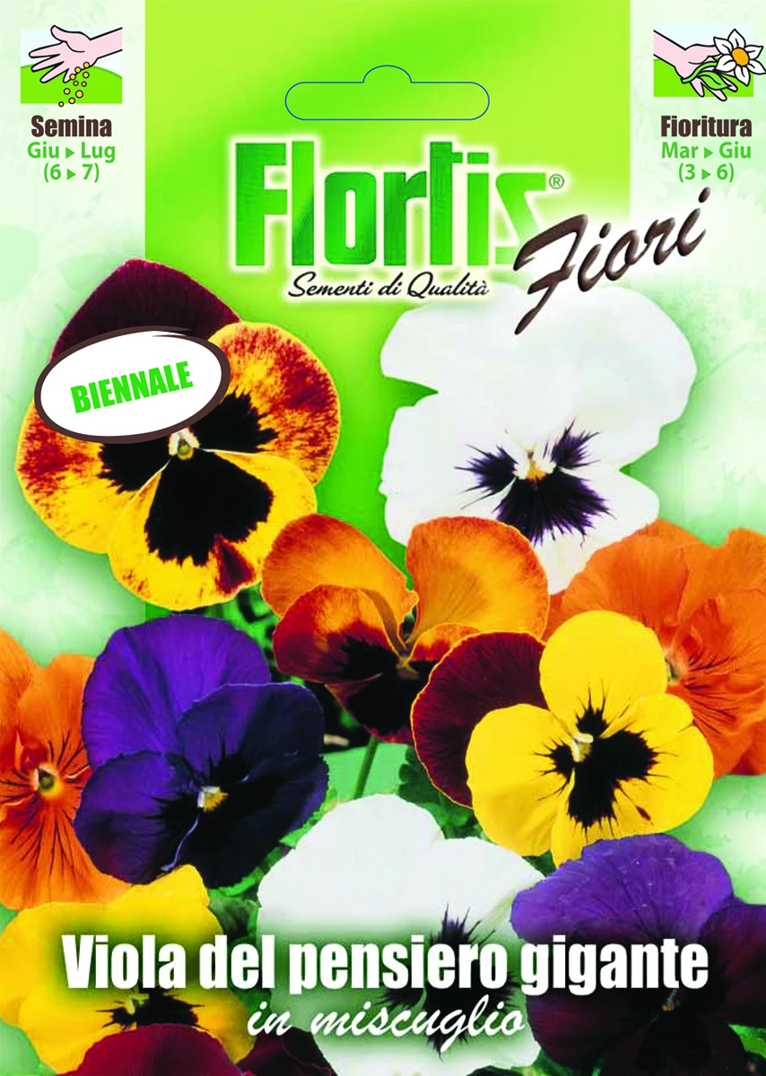 4351205 - FLORTIS | VIOLA PENSIERO GIGANTE MIX