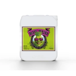 5050-20 - ADVANCED NUTRIENTS - BIG BUD | 5L