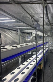 VF443509 - INDOORLINE - VERTICAL FARM 60 4.0 | 330x60x200h cm