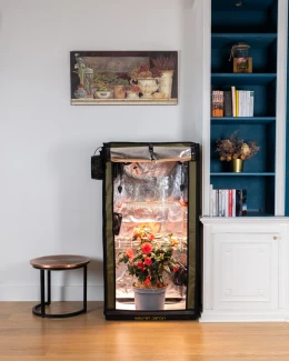 SECRET JARDIN - FOR TWENTY FS100 | 60x40x116h cm - 100W