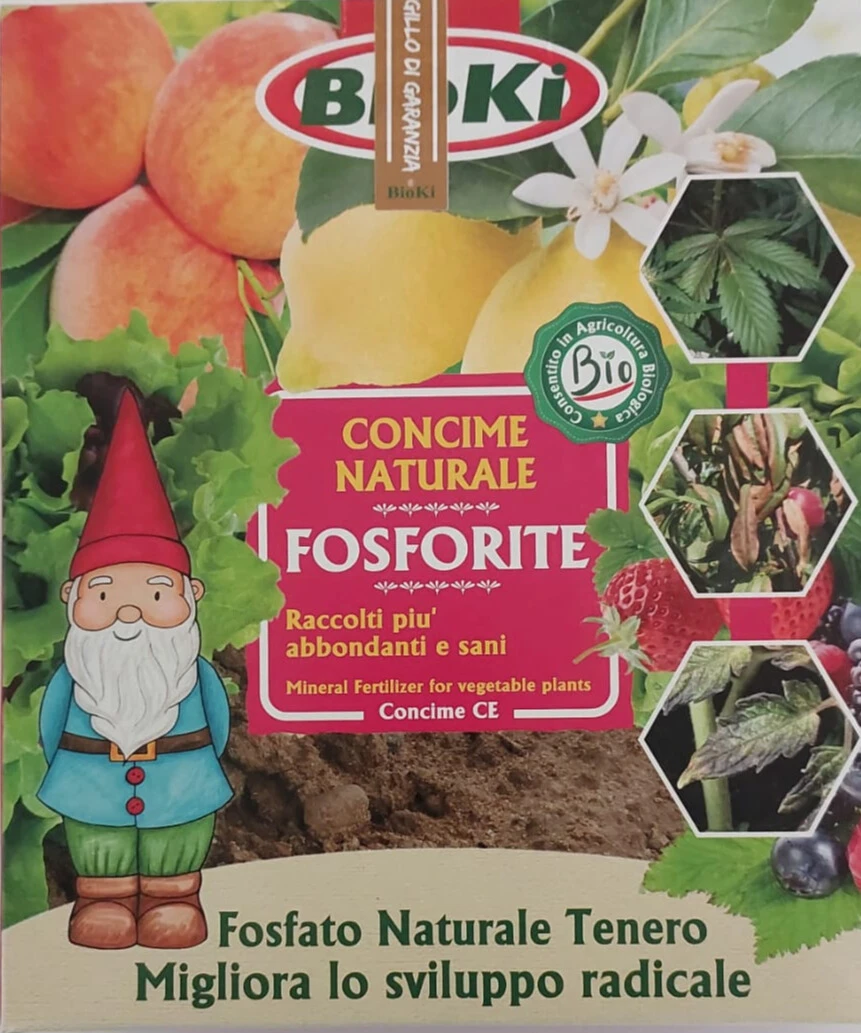 A06016 - BIOKI - FOSFORITE (POLVERE DI ROCCIA) | 900gr