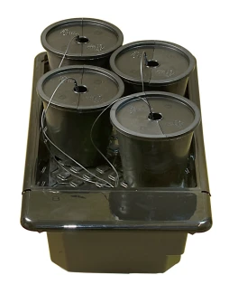 ESEMPIO DI UTILIZZO CON SISTEMA NFT