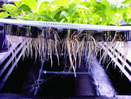 X-STREAM PROPAGATORE AREOPONICO 120 PIANTE NUTRICULTURE