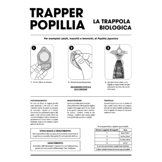 Indoorline_popillia_2