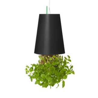 SKYPLANTER MEDIUM NERO