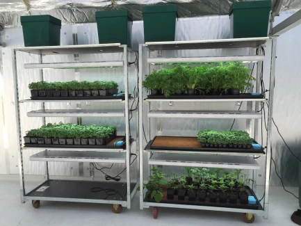 AUTOPOT - COCOMAT TAPPETO DI COCCO PER SUBIRRIGAZIONE | 58x51x3h cm