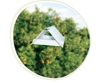 71828004PB - RICARICHE ADESIVE PER TRAPPOLA UNIVERSALE A FEROMONI