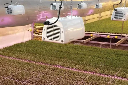 HELIOSPECTRA E602G 630W  PER USO IN GREENHOUSE