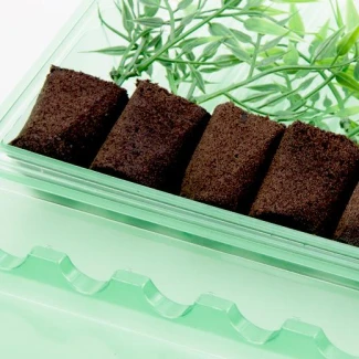 BLISTER PER TRASPORTO E SPEDIZIONE DI 6 TALEE