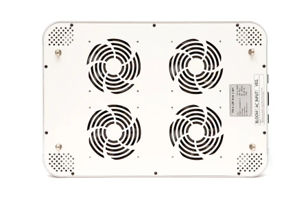 ORTOLED TITANIUM 360W