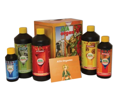 AOBA - ATA ORGANICS  BOX ATAMI B'CUZZ