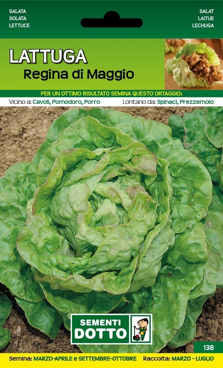 11110138 - LATTUGA REGINA DI MAGGIO ORTO BIOLOGICO DOTTO SEMENTI