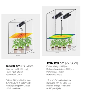 SANLIGHT - Q6W 2^ GENERAZIONE LED COLTIVAZIONE | 245W Indoorline